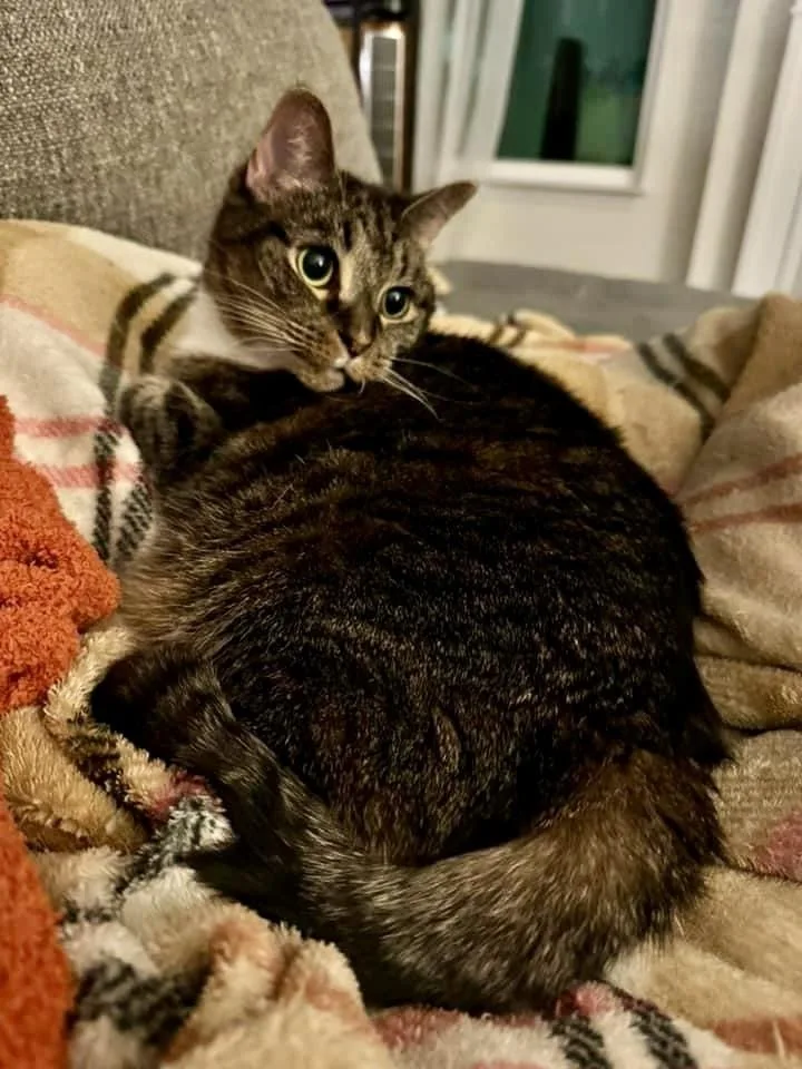 China  Kb thumbnail 5