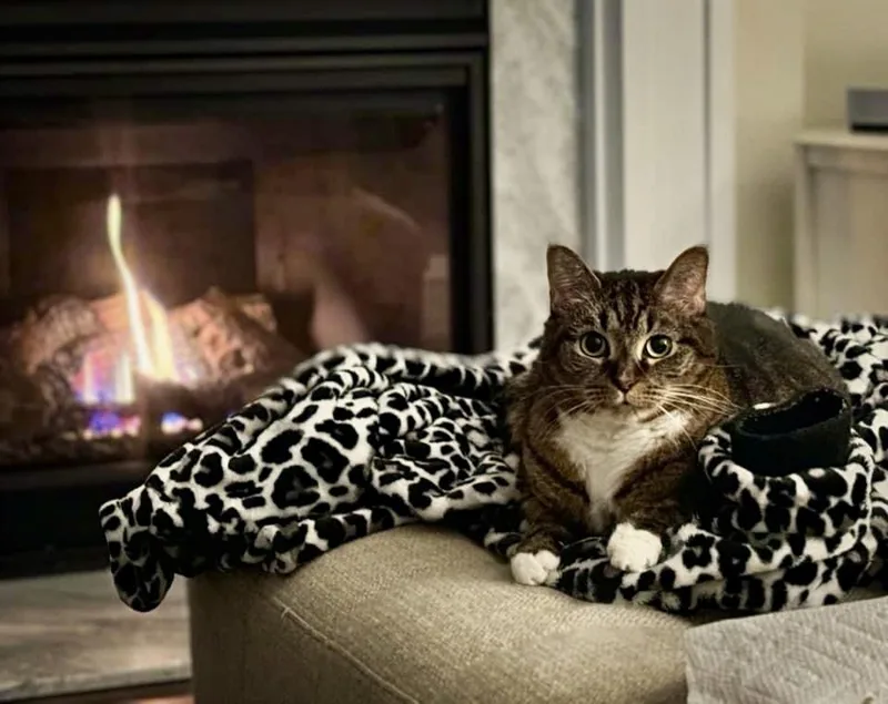 China  Kb thumbnail 6