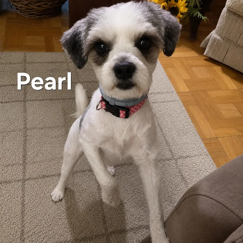 Pearl