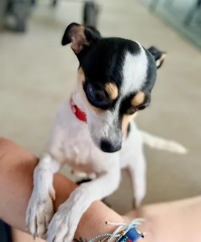 Maggie thumbnail 6