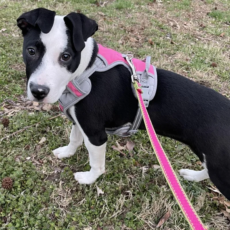 Renee Fc thumbnail 3