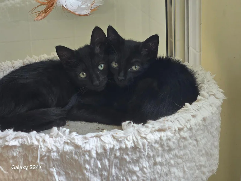 Mila And Marty