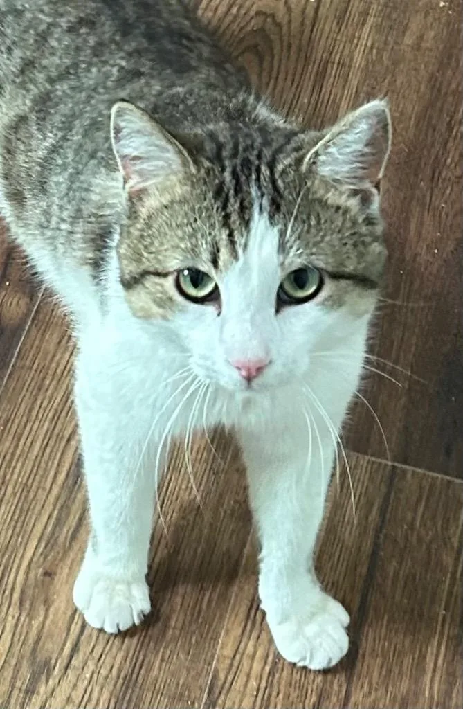 Manny