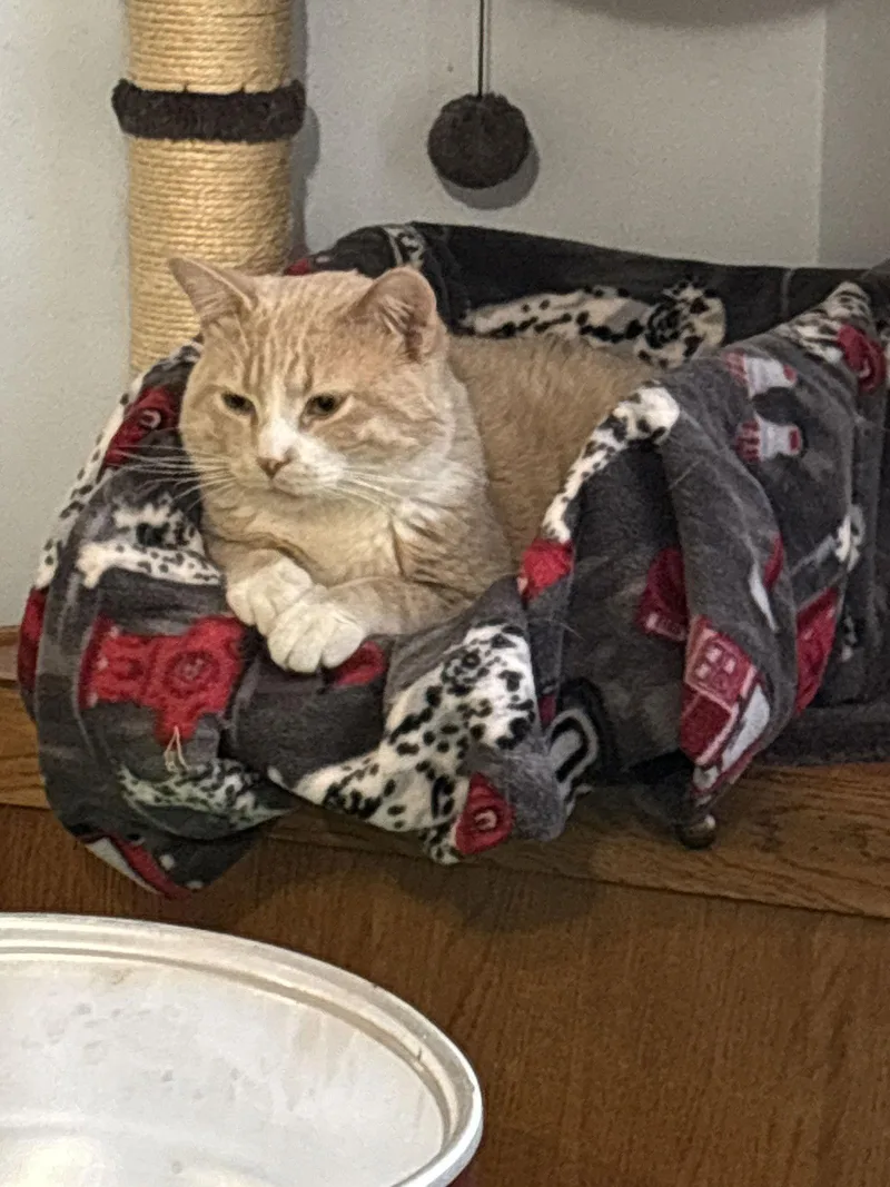 Little Dude thumbnail 2