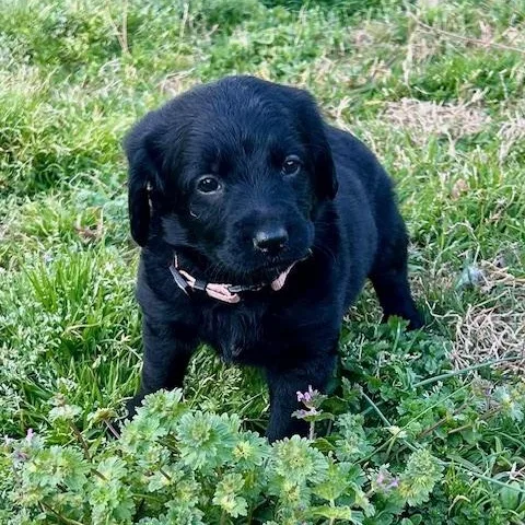 Mckenzie thumbnail 2