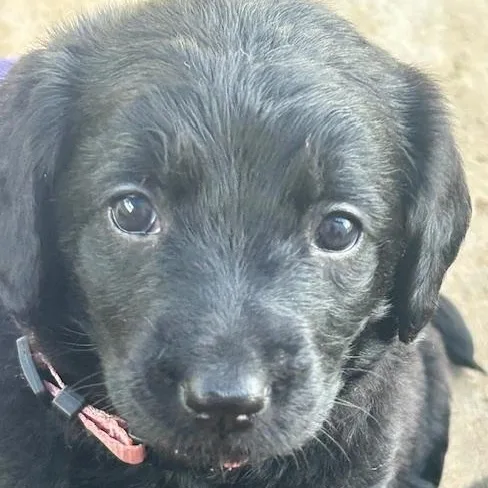 Mckenzie thumbnail 5