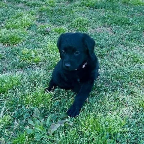 Mckenzie thumbnail 6