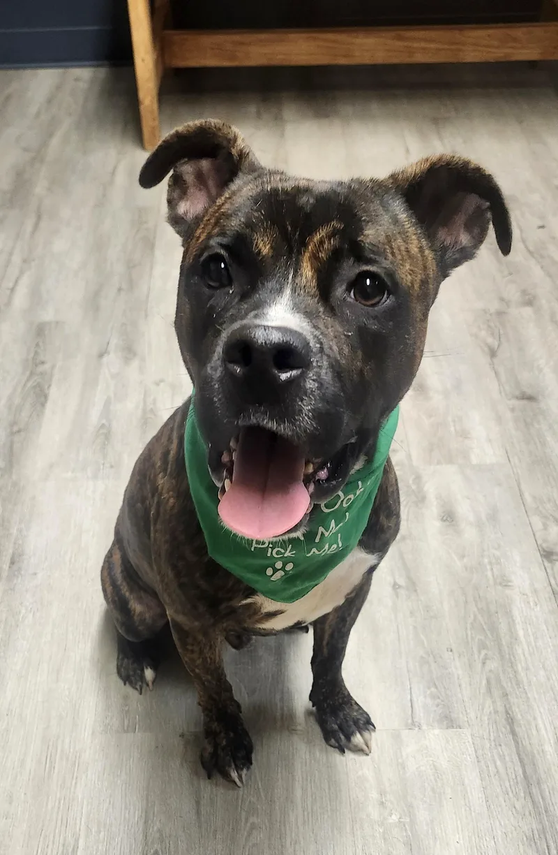 Slim Jim thumbnail 3