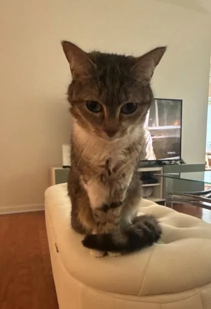 Luna the Lovely thumbnail 2