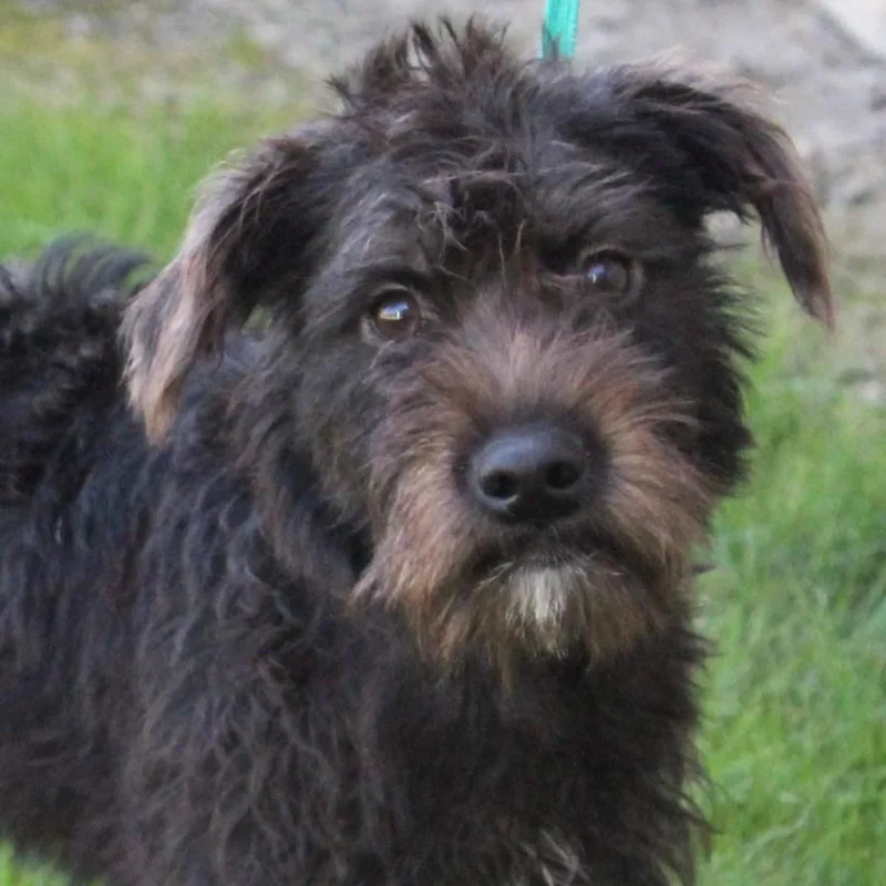 Cami thumbnail 2