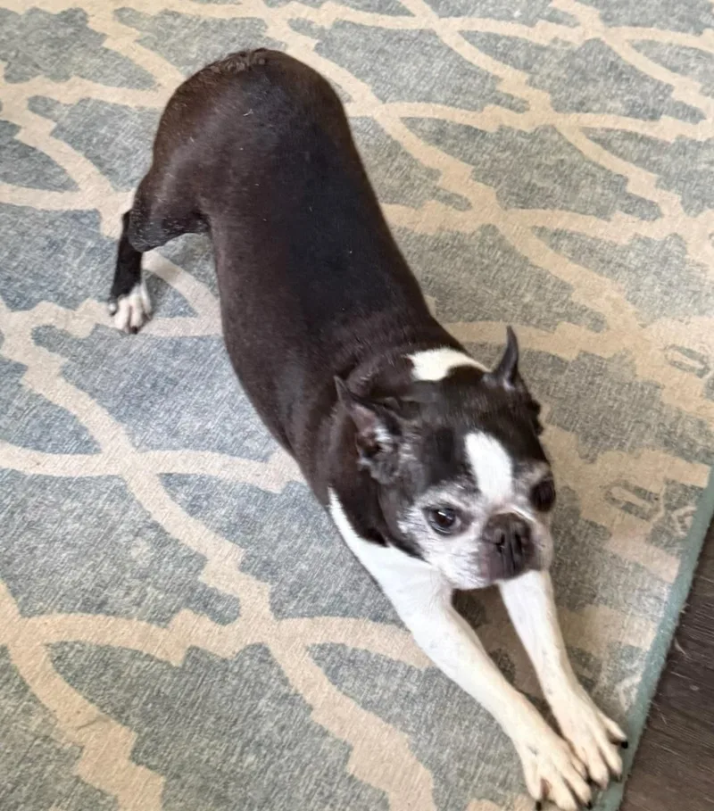 Molly in MO thumbnail 2
