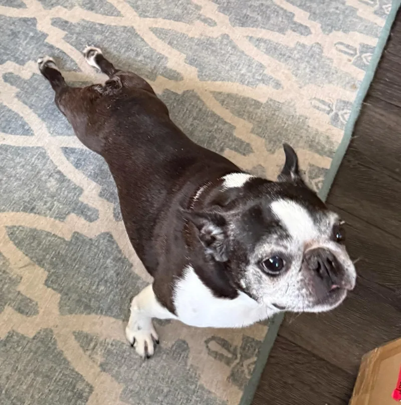 Molly in MO thumbnail 3