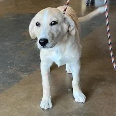 Peaches Fka Esmerelda thumbnail 2