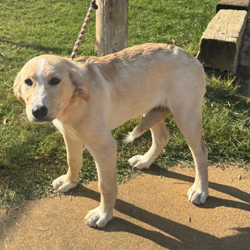 Peaches Fka Esmerelda thumbnail 3