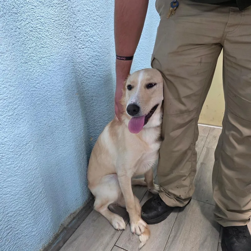 Peaches Fka Esmerelda thumbnail 4