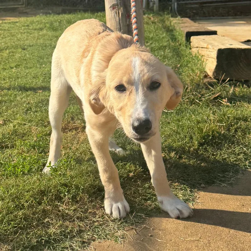 Peaches Fka Esmerelda thumbnail 5