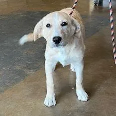 Peaches Fka Esmerelda thumbnail 6