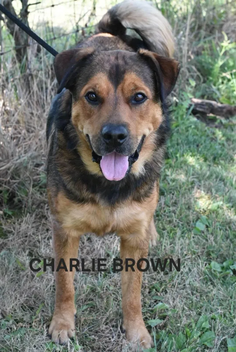 Charlie Brown