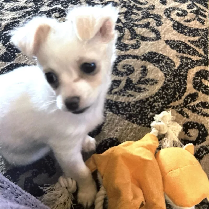 Rosie Ann thumbnail 3