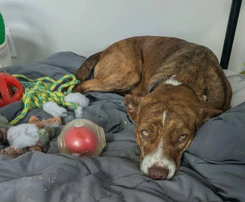 Kiki 💜 🇨🇦 thumbnail 3