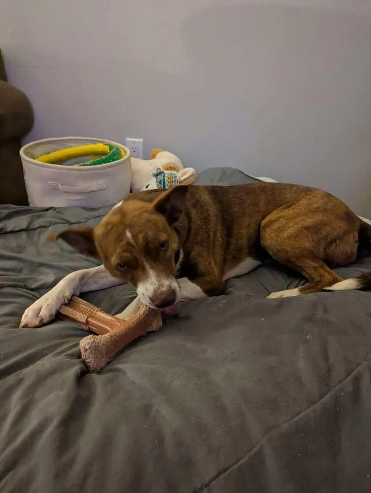 Kiki 💜 🇨🇦 thumbnail 4