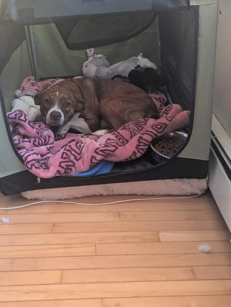 Kiki 💜 🇨🇦 thumbnail 5