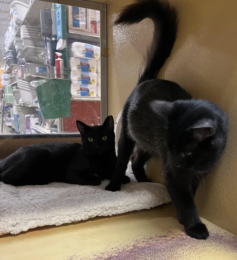 Andy & Toby thumbnail 2