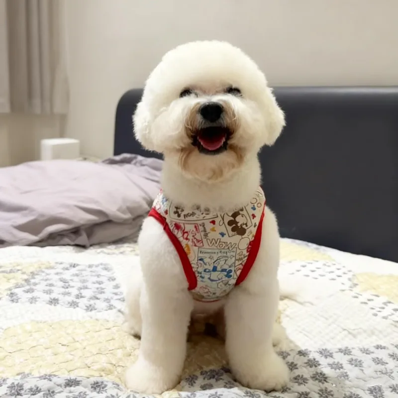 Phoebe thumbnail 6