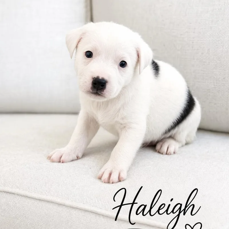 Haleigh thumbnail 4