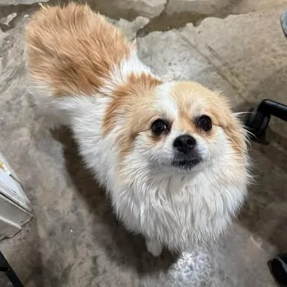 Katsuki Bakugo thumbnail 2