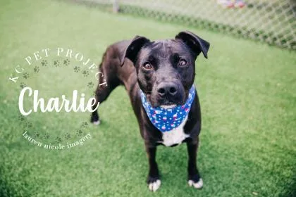 Charlie