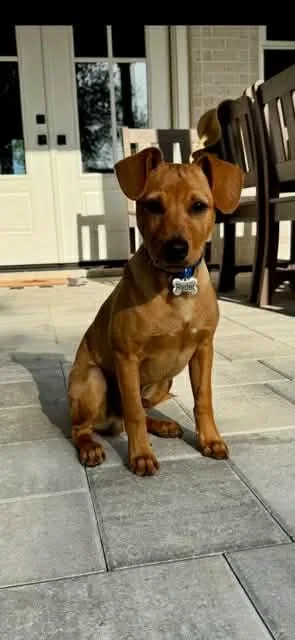 Ryder