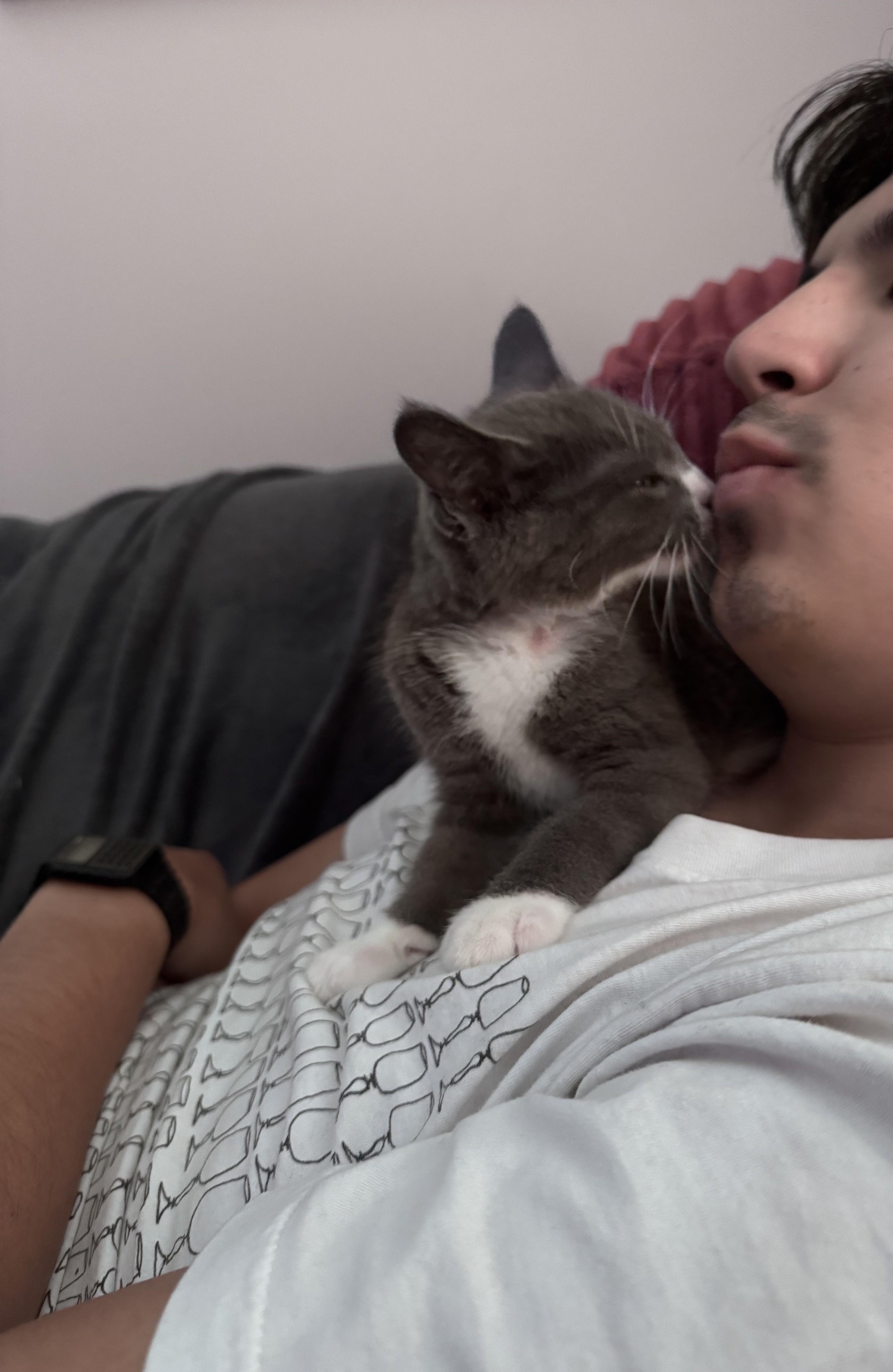 Julien thumbnail 5