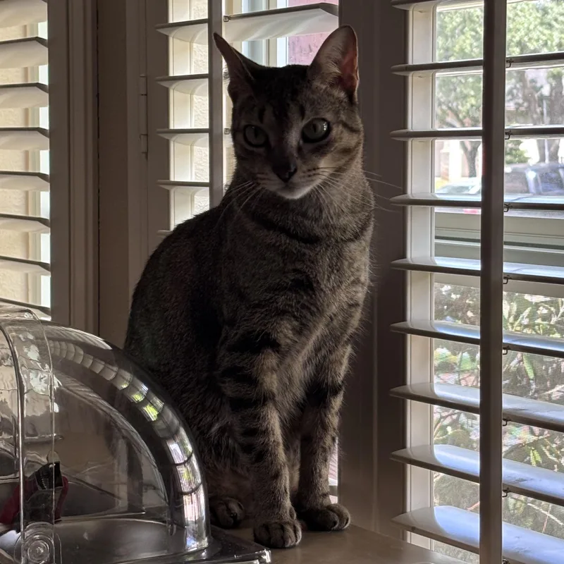 Murphy thumbnail 6