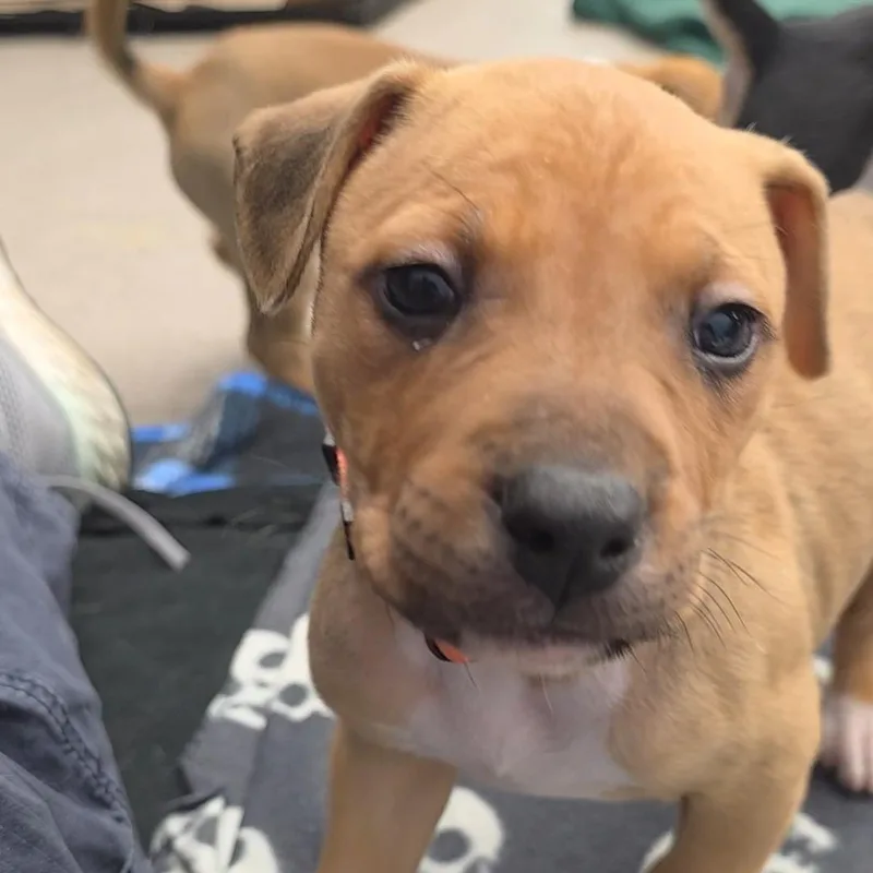 Hamilton thumbnail 3