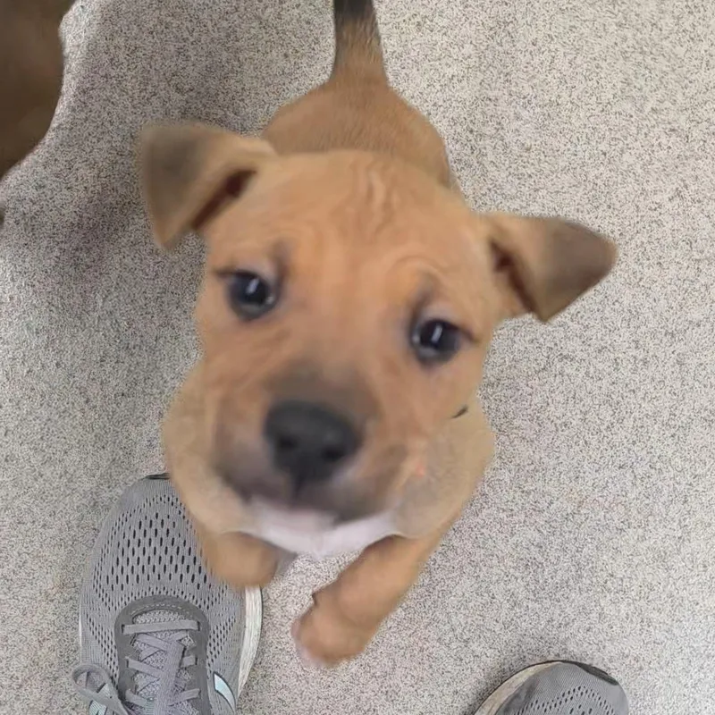 Hamilton thumbnail 4