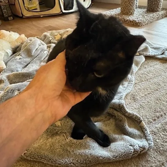 Winnie thumbnail 2