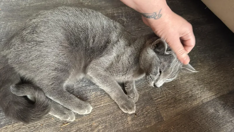 Sally thumbnail 2