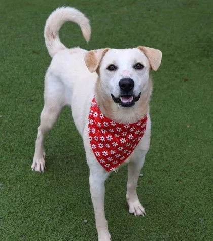 Lily Athens thumbnail 3