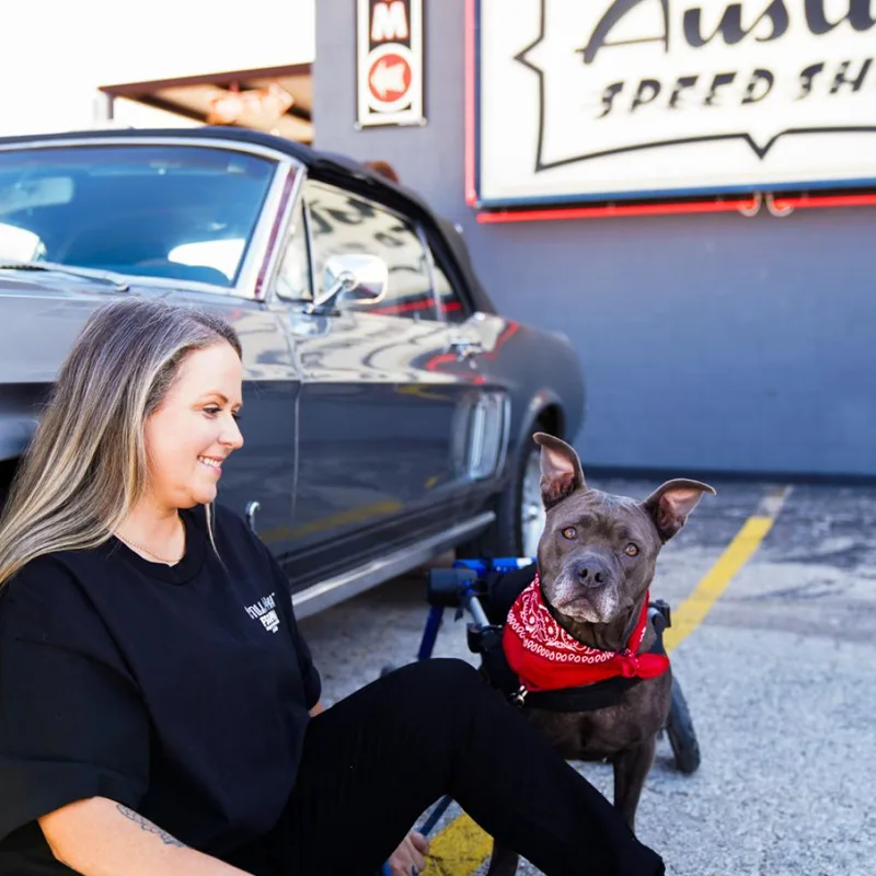 Streetcar Stella thumbnail 4