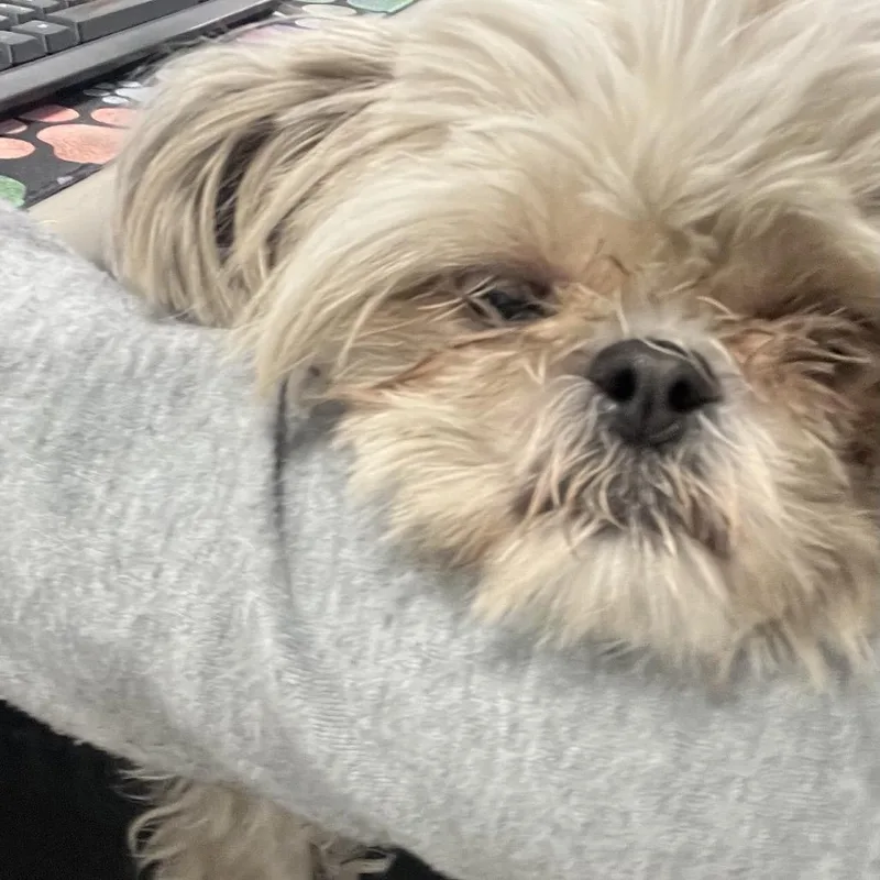 Maddie thumbnail 2