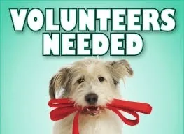 Dog Walkers Needed!! thumbnail 2