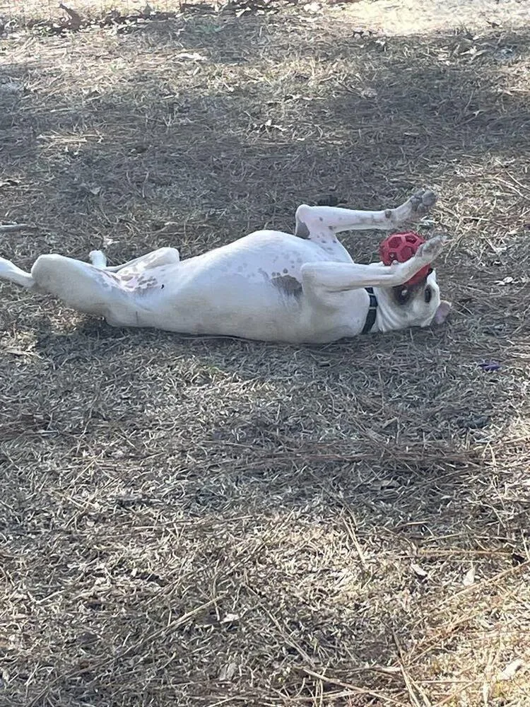 Poundcake thumbnail 2