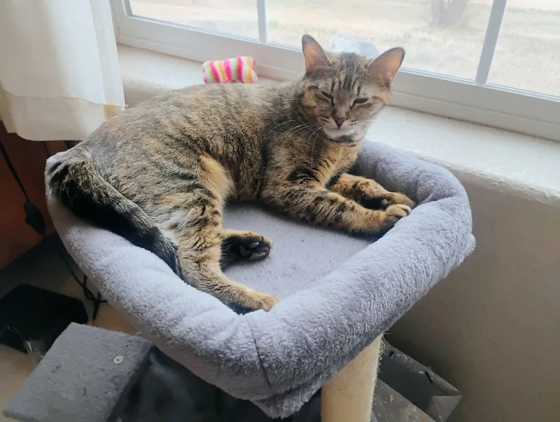 Luna thumbnail 5