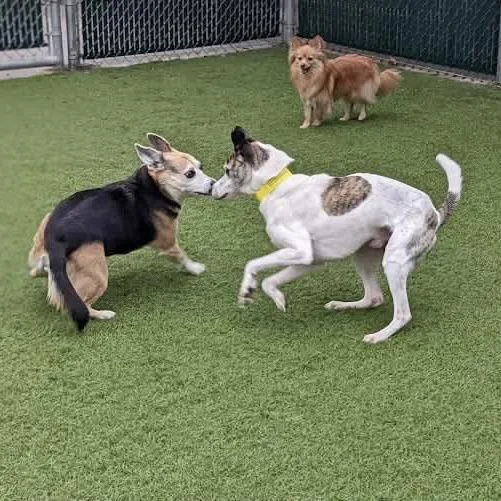 Jack Henry thumbnail 2