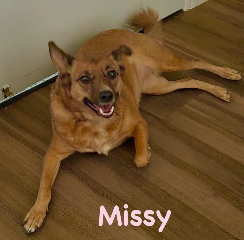 Missy