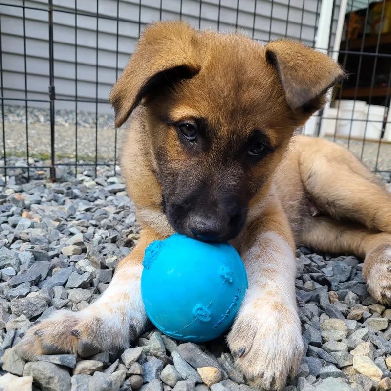 Sprinkle thumbnail 2