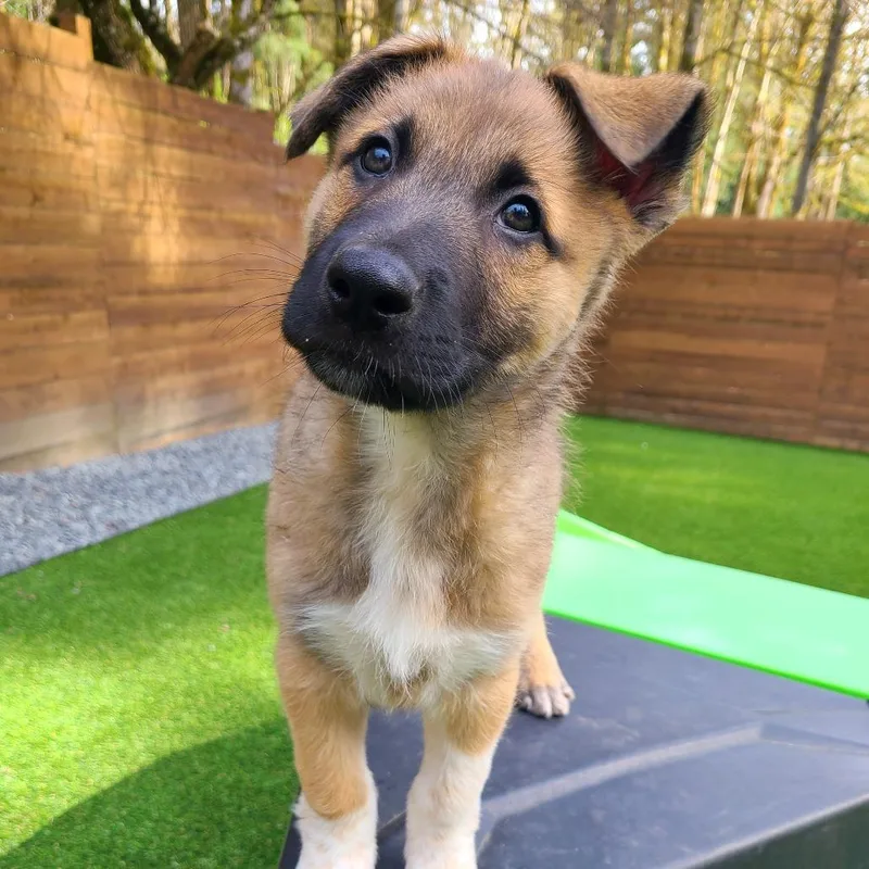 Sprinkle thumbnail 3