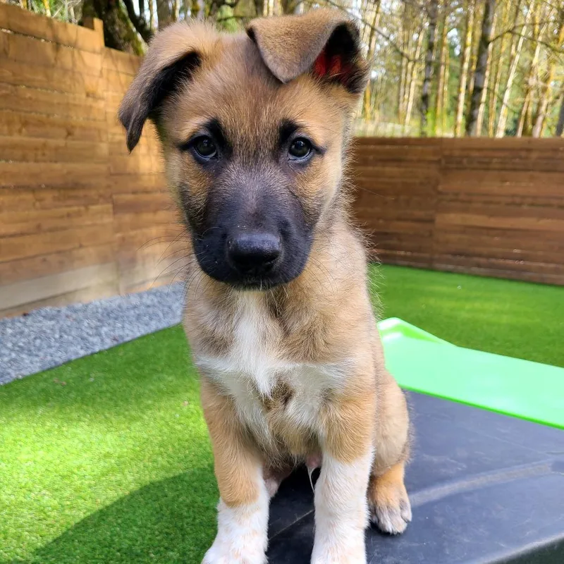 Sprinkle thumbnail 4