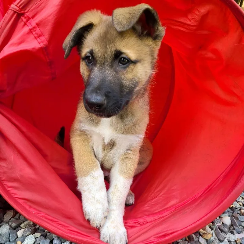 Sprinkle thumbnail 5